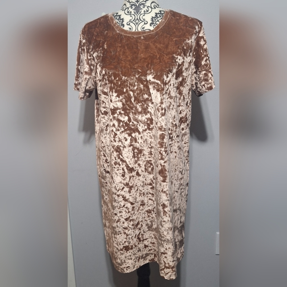 Med Velvet Brown Short Sleeve Dress - Picture 1 of 6